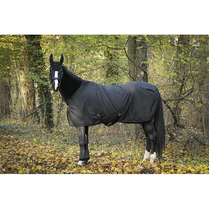 product/p/a/paddock_400012259.jpg