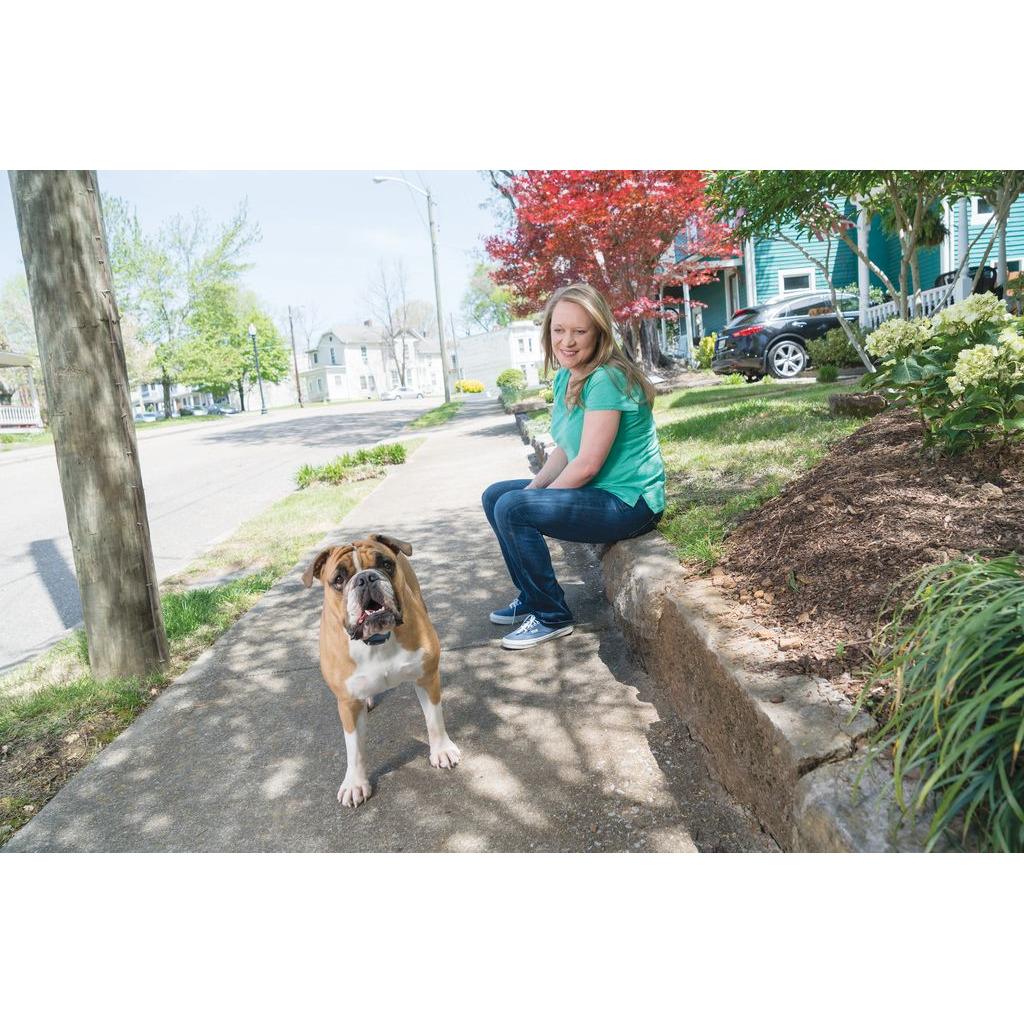 product/p/e/petsafe_cy0985_1.jpg