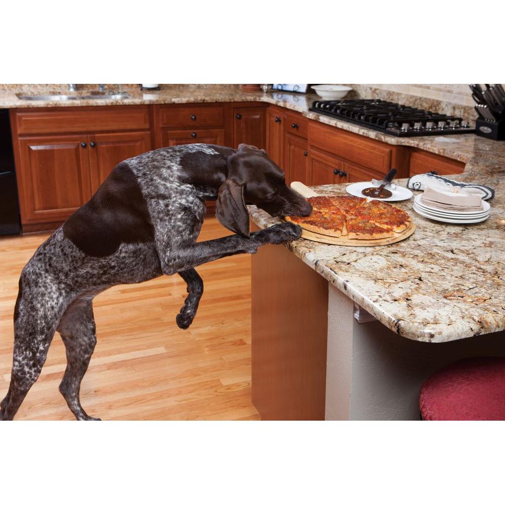 product/p/e/petsafe_cy1092_4.jpg