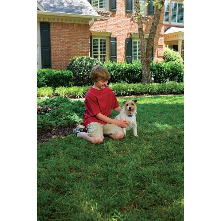 product/p/e/petsafe_cy2200_2.jpg