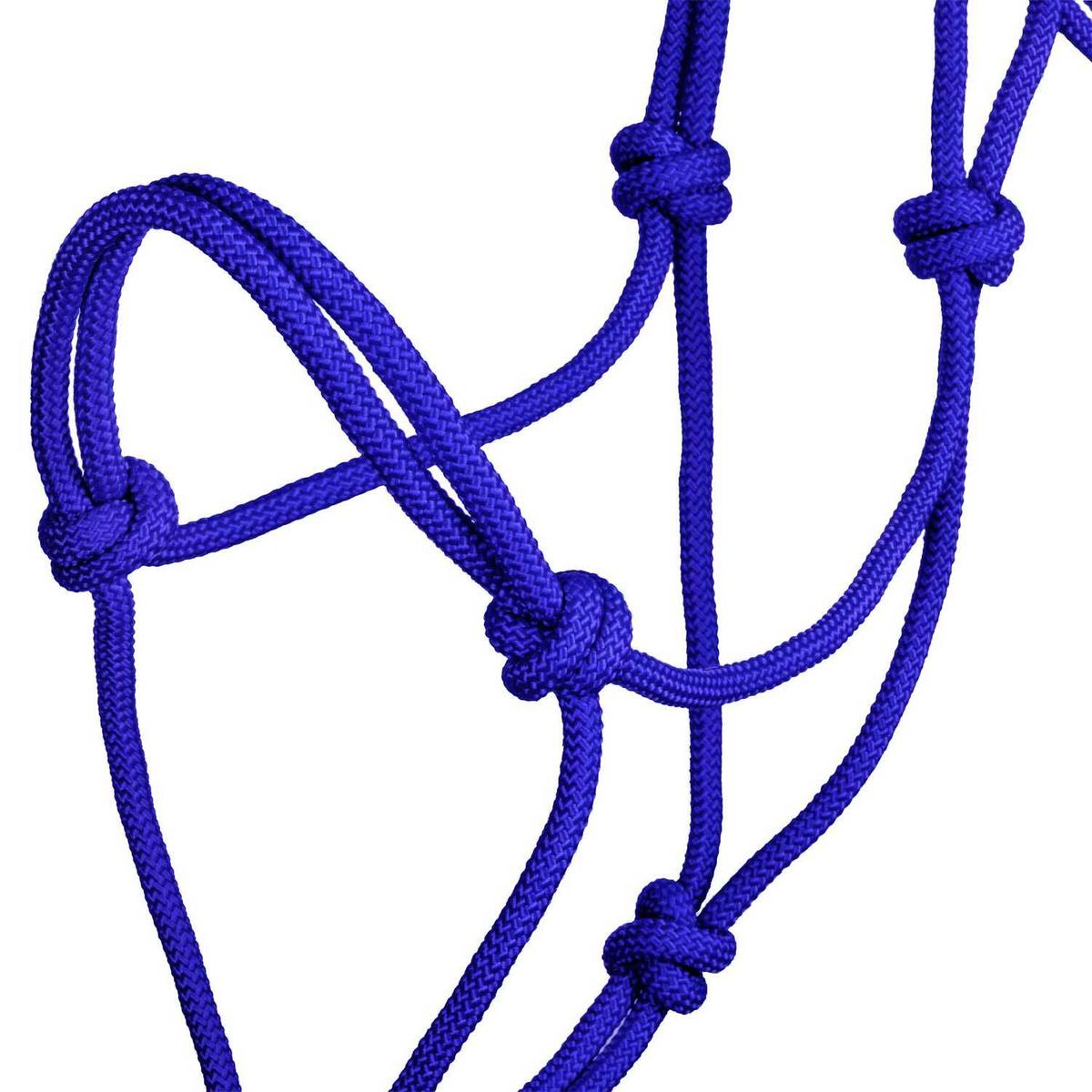 product/p/o/pool-s_ca00129-royal-blue_royal-blue_3.jpg