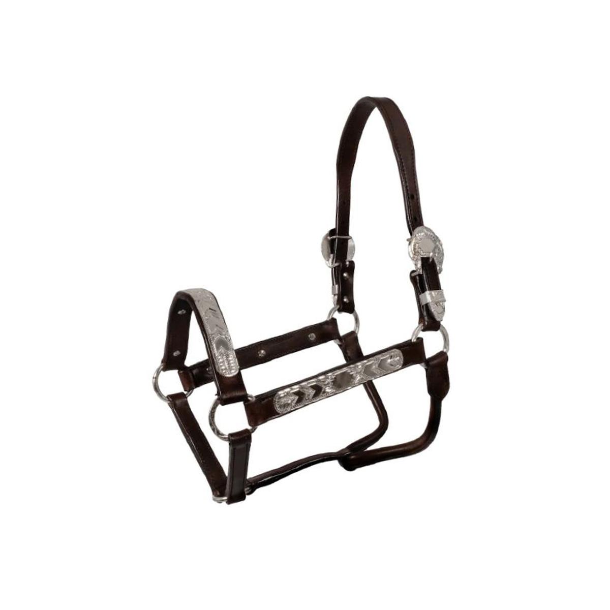 product/p/o/pool-s_pl00610-brown_brown_1.jpg