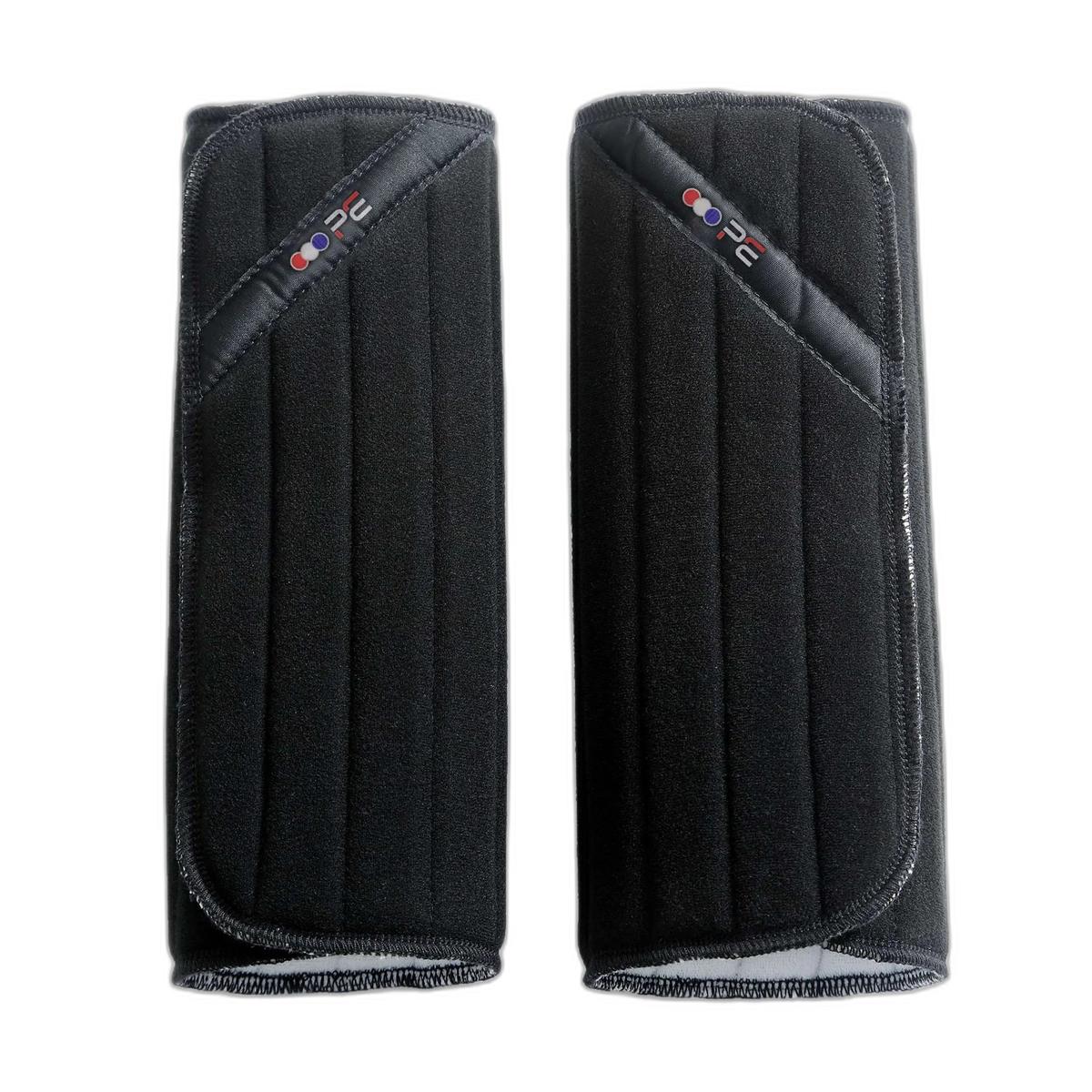 product/p/r/premier-equine_1003l_1.jpg