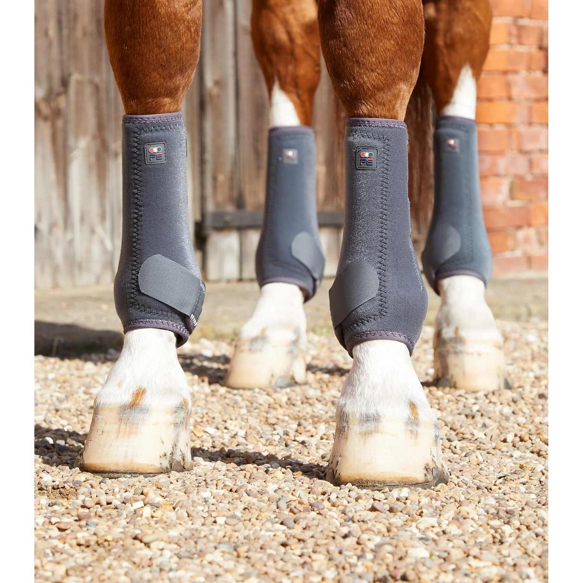 product/p/r/premier-equine_1029xxsg_1.jpg