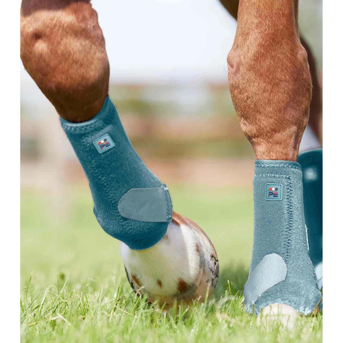 product/p/r/premier-equine_1029xxst_2.jpg