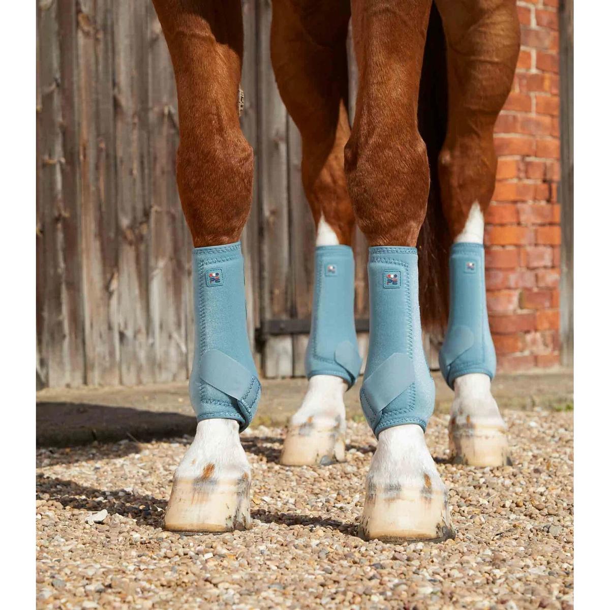 product/p/r/premier-equine_1029xxst_3.jpg