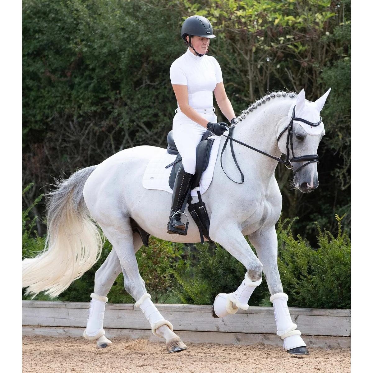 product/p/r/premier-equine_1038xlw_2.jpg