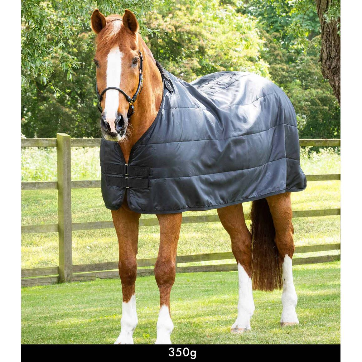 product/p/r/premier-equine_206835050_black_1.jpg