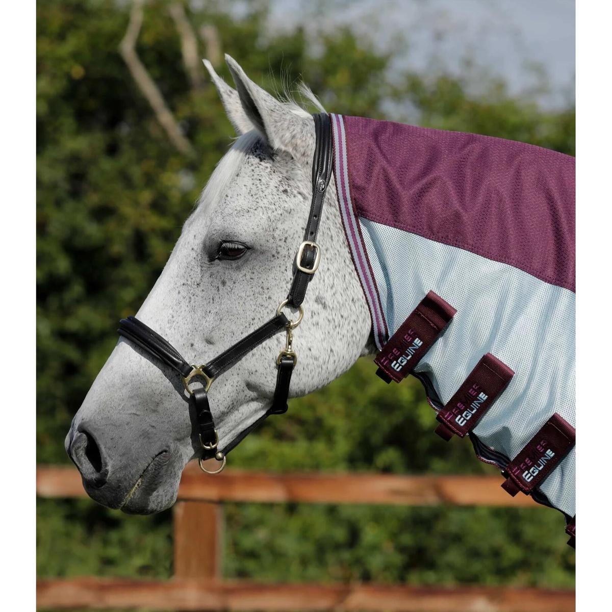 product/p/r/premier-equine_208250w_2.jpg