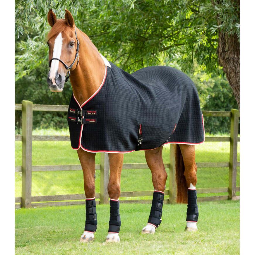 product/p/r/premier-equine_209450blk_black_1.jpg