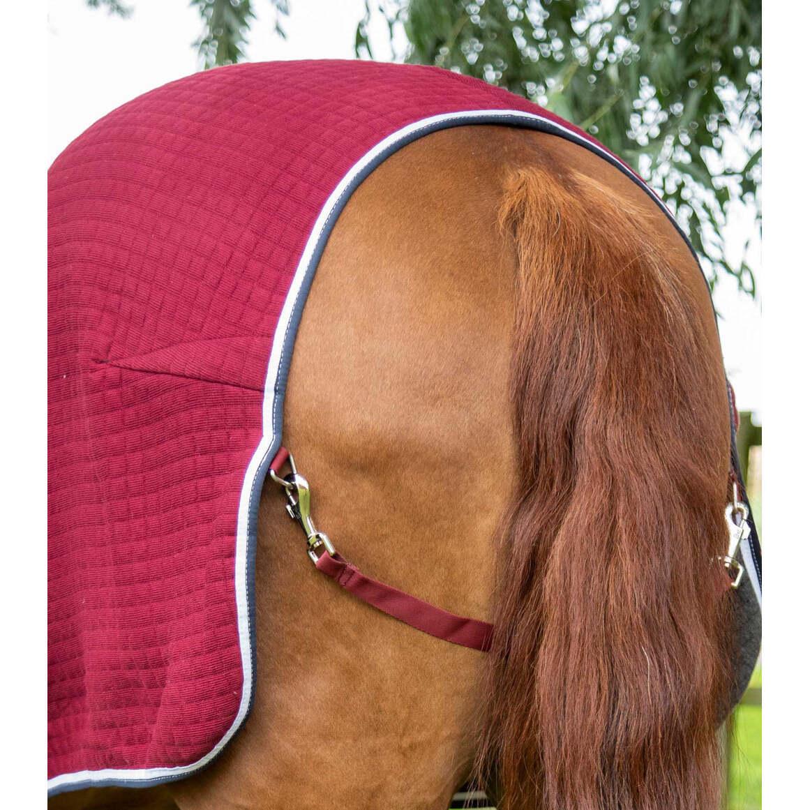 product/p/r/premier-equine_209450brg_burgundy_5.jpg
