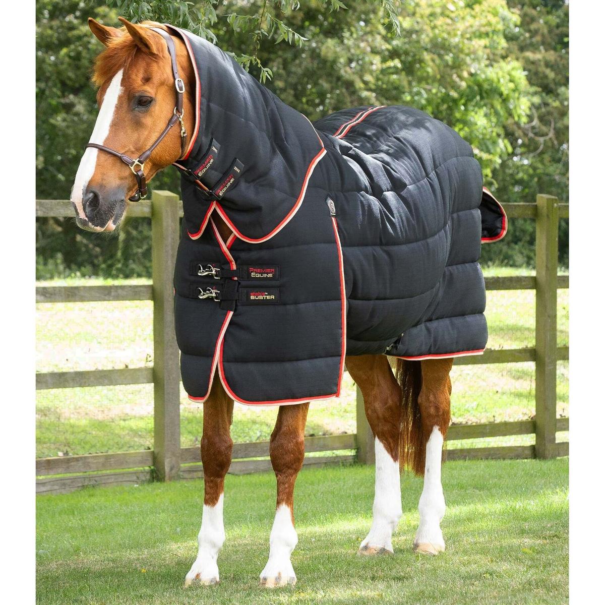 product/p/r/premier-equine_215550b_black_1.jpg