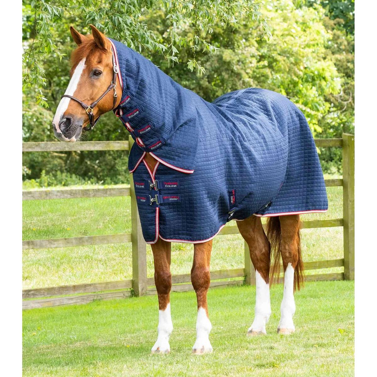 product/p/r/premier-equine_2221-50n_1.jpg