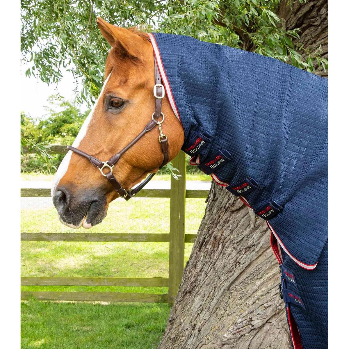 product/p/r/premier-equine_2221-50n_5.jpg
