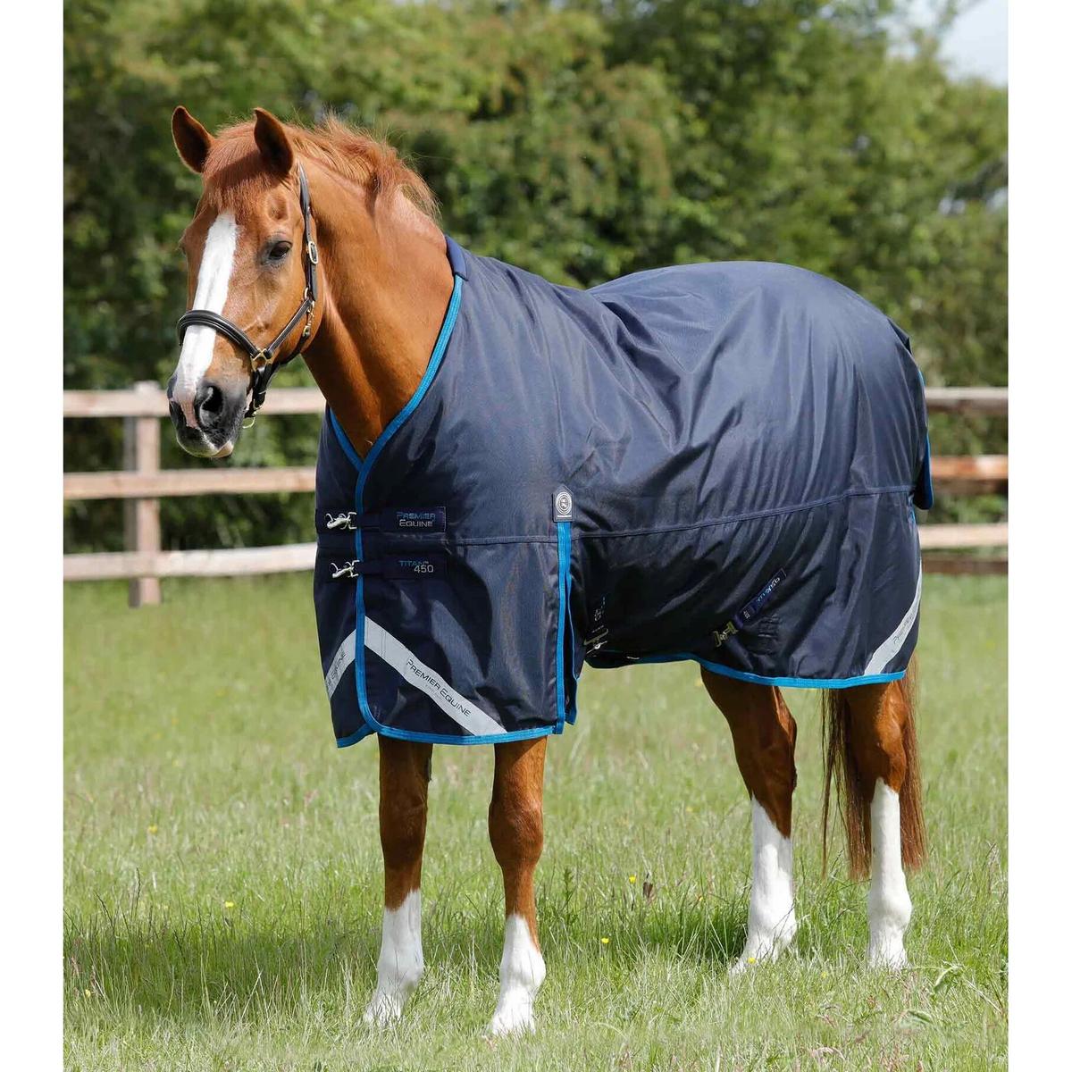 product/p/r/premier-equine_223250n_1.jpg