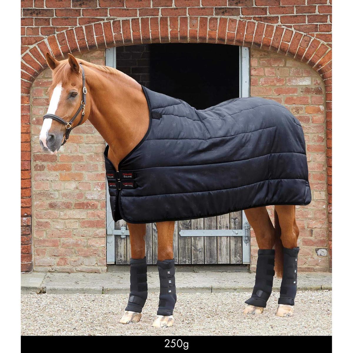 product/p/r/premier-equine_224025050b_1.jpg