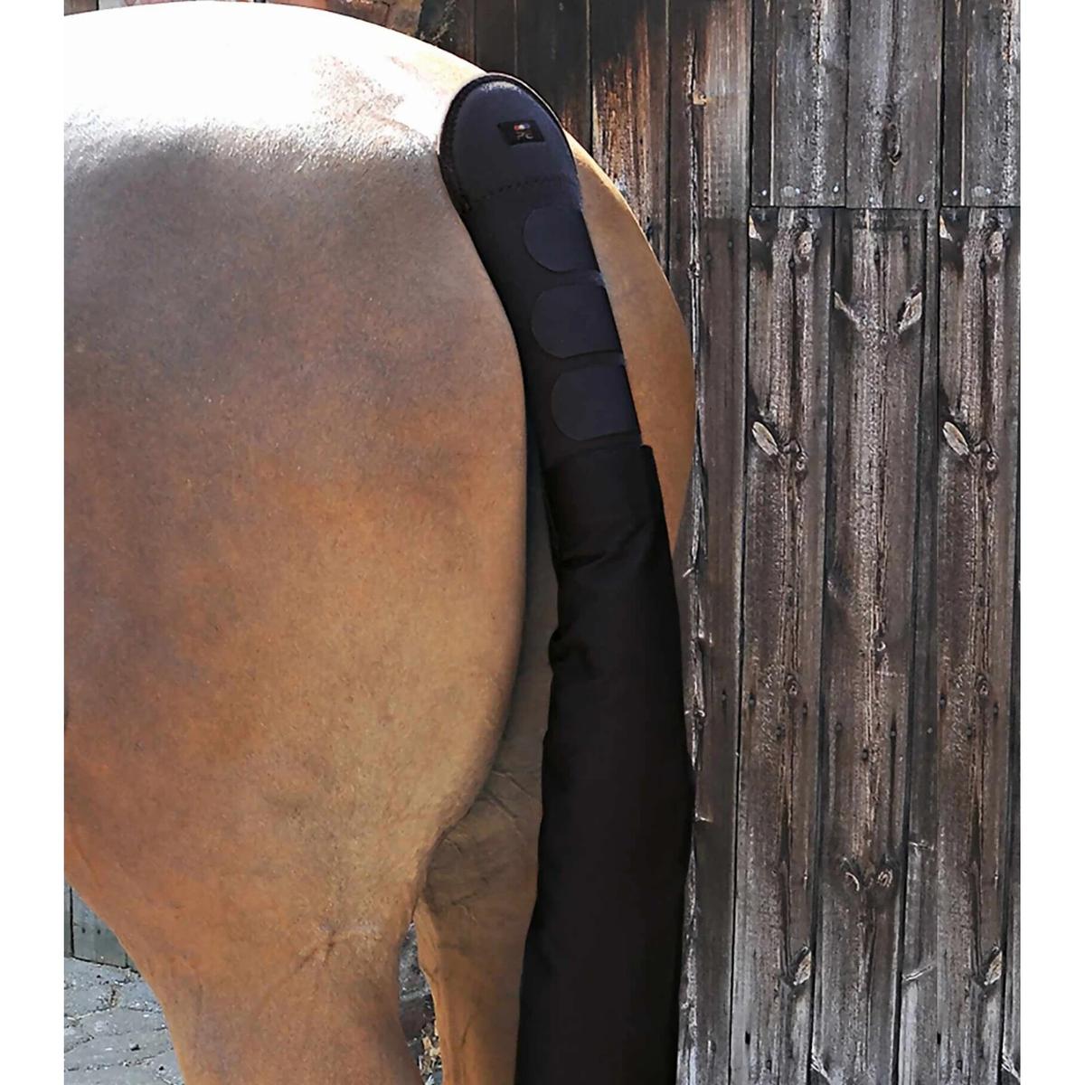 product/p/r/premier-equine_6010blk_1.jpg