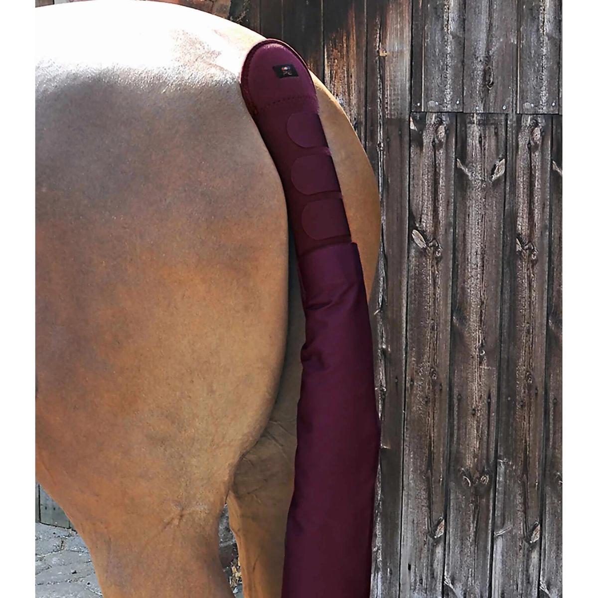 product/p/r/premier-equine_6010brg_1.jpg