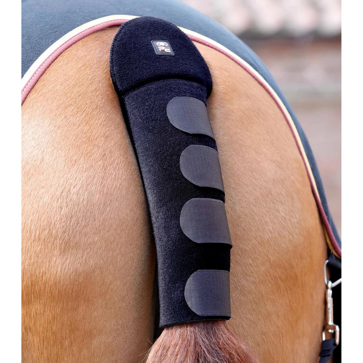 product/p/r/premier-equine_6135blk_1.jpg