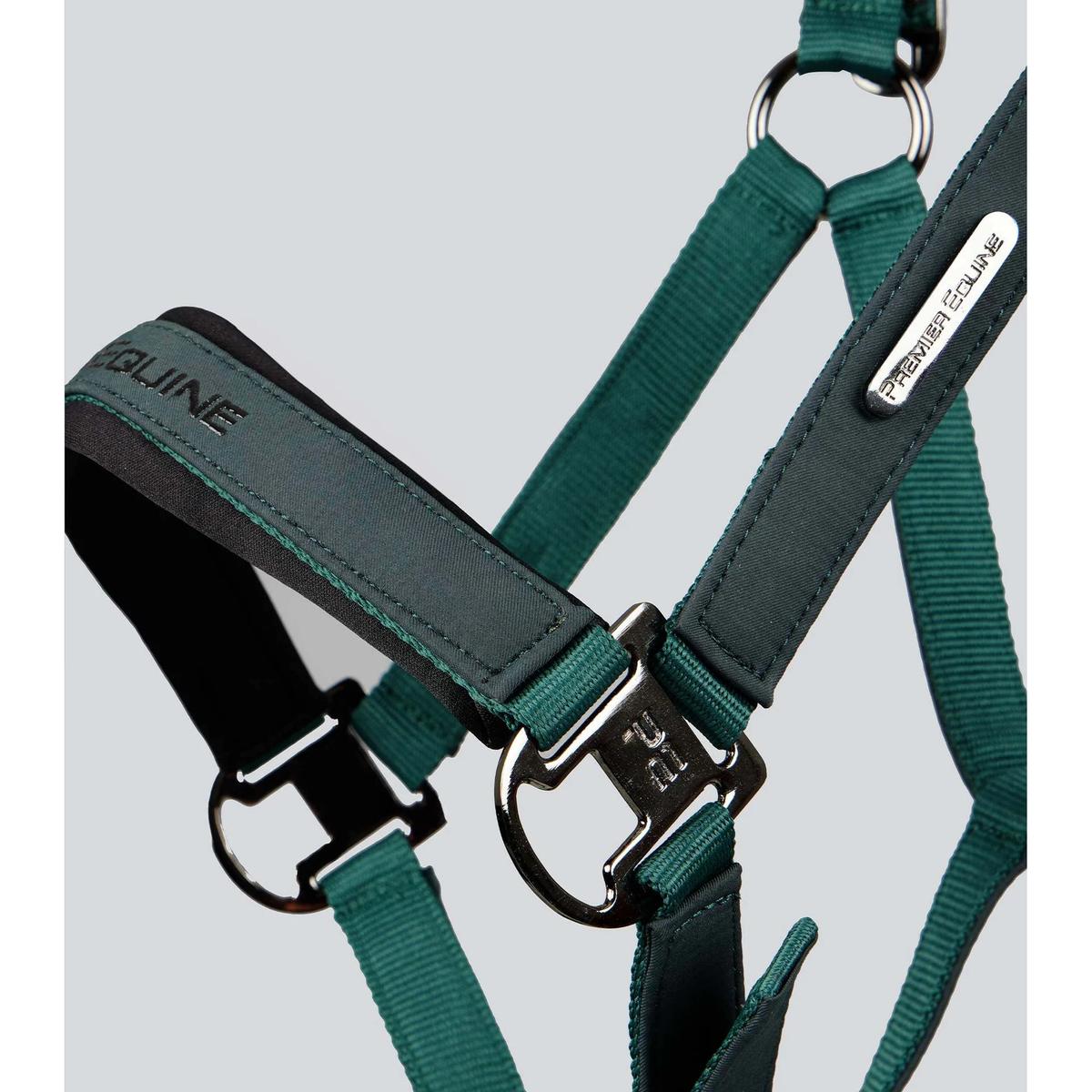 product/p/r/premier-equine_6151cgrn_green_4.jpg