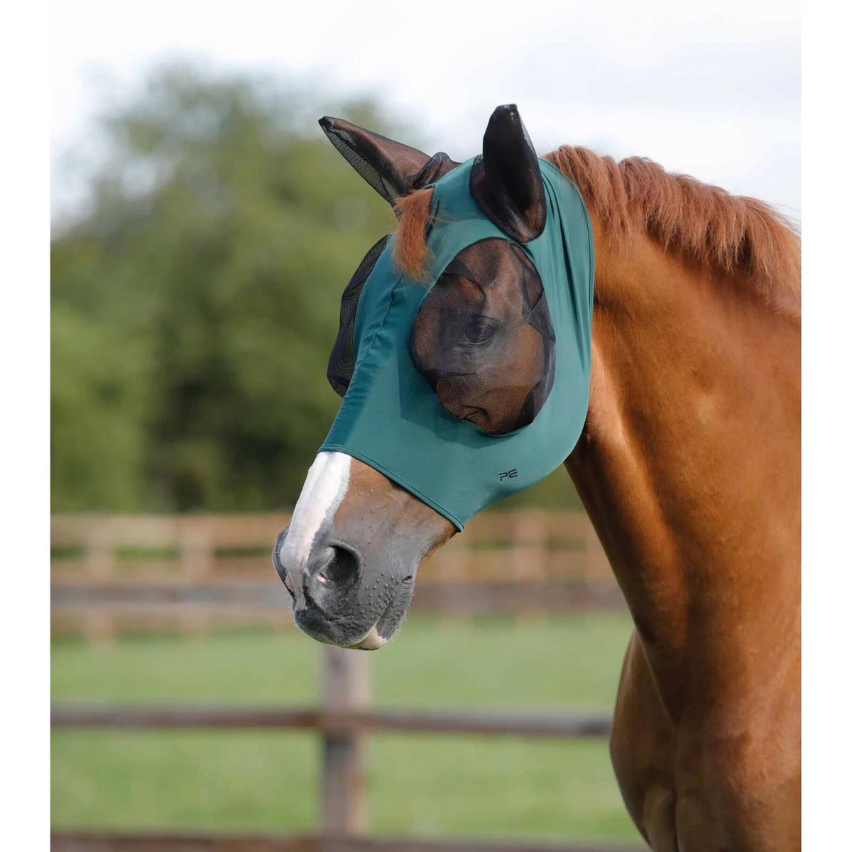 product/p/r/premier-equine_6300sgre_1.jpg