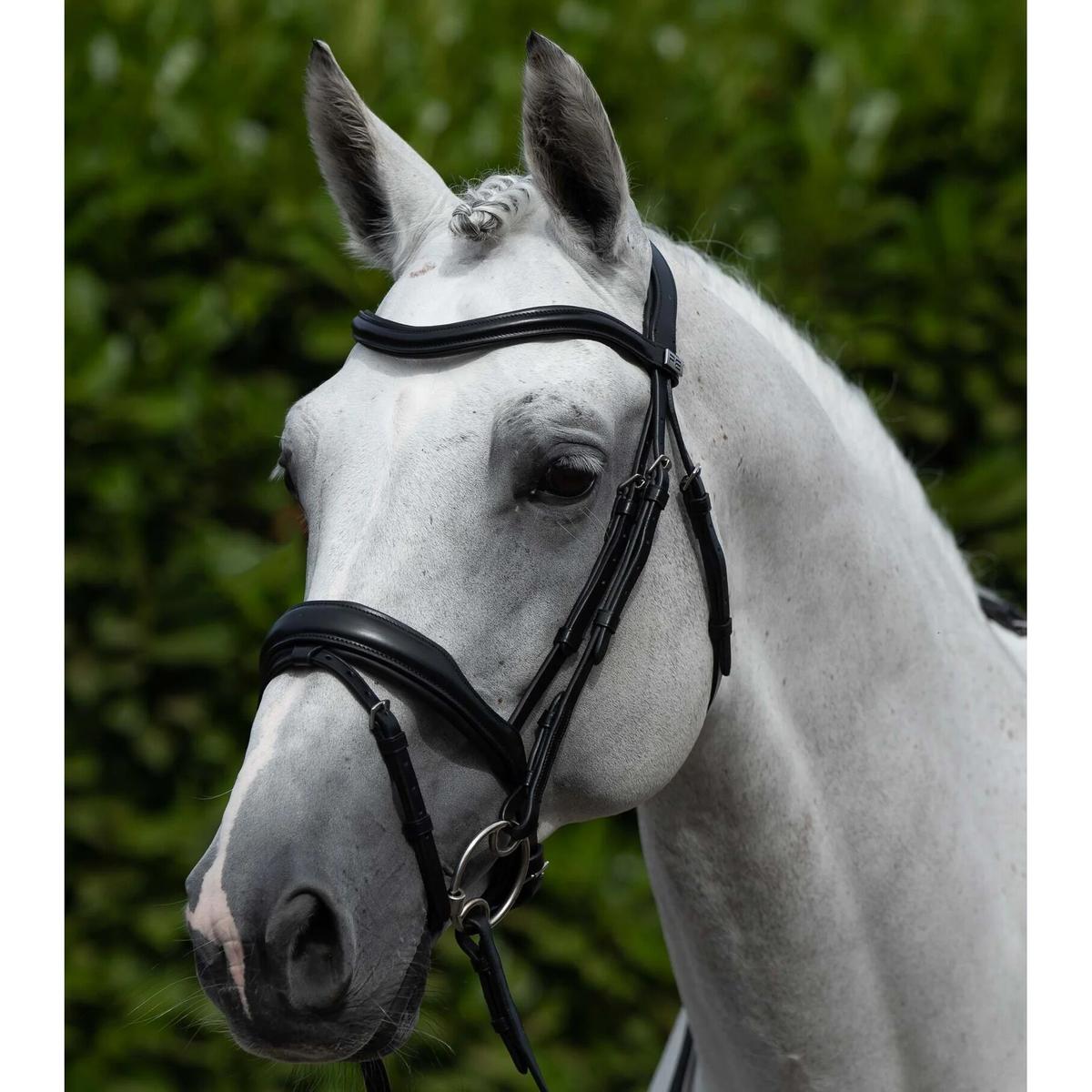 product/p/r/premier-equine_8018-cblk_1.jpg