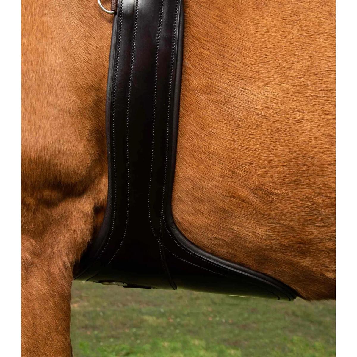 product/p/r/premier-equine_8024-46brw_2.jpg