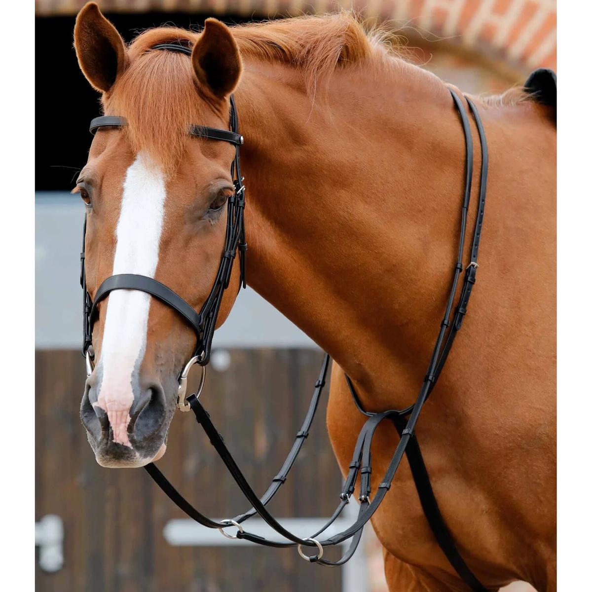 product/p/r/premier-equine_8027-cblk_1.jpg