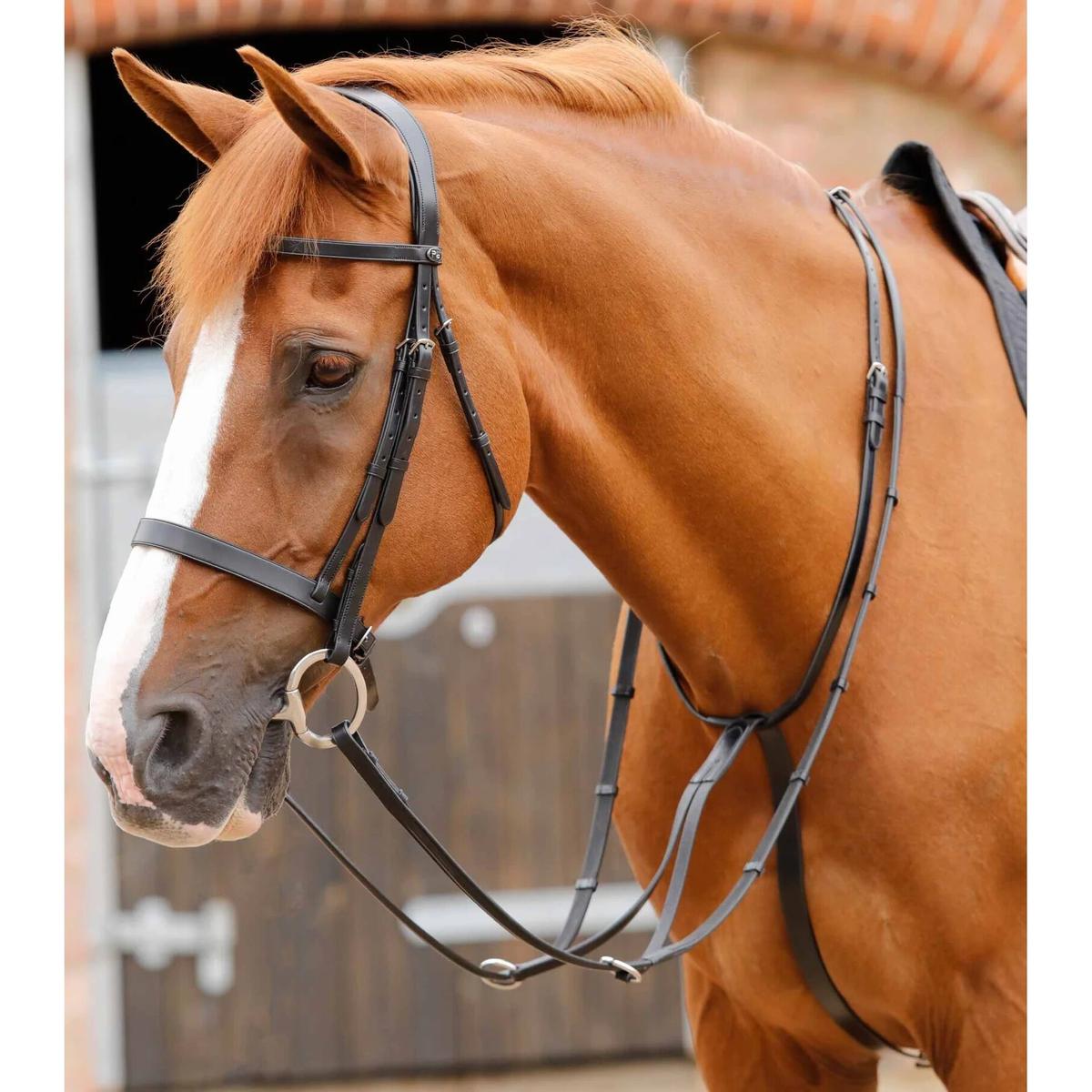 product/p/r/premier-equine_8028-cblk_1.jpg