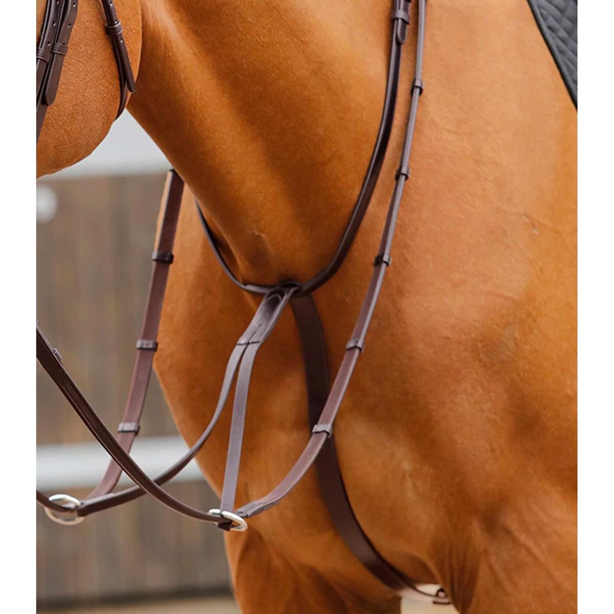 product/p/r/premier-equine_8028-cbrw_2.jpg
