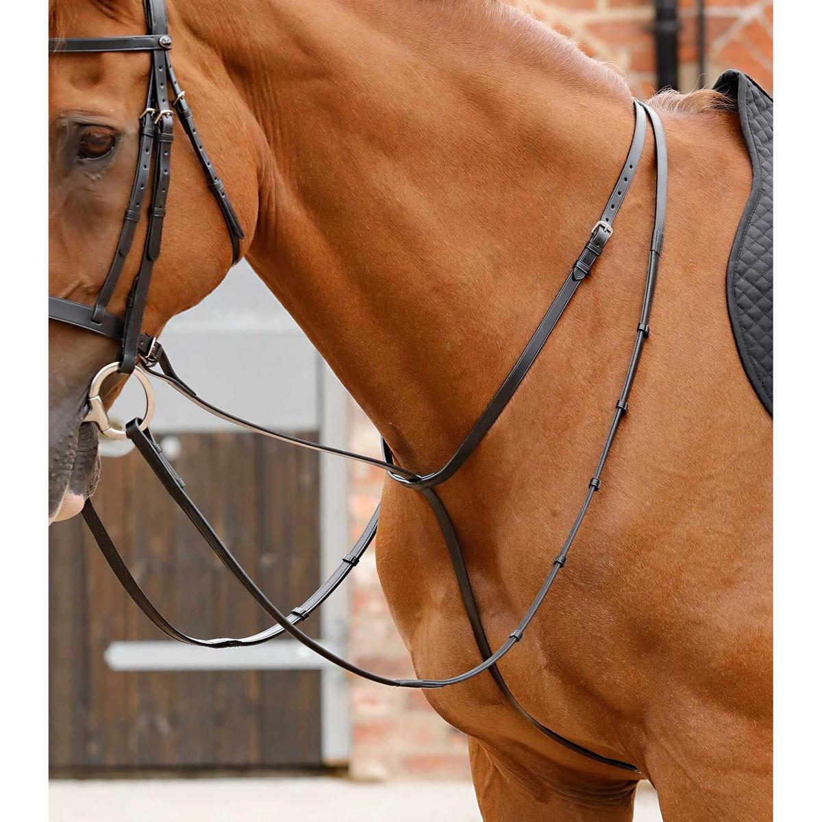 product/p/r/premier-equine_8030-cblk_4.jpg