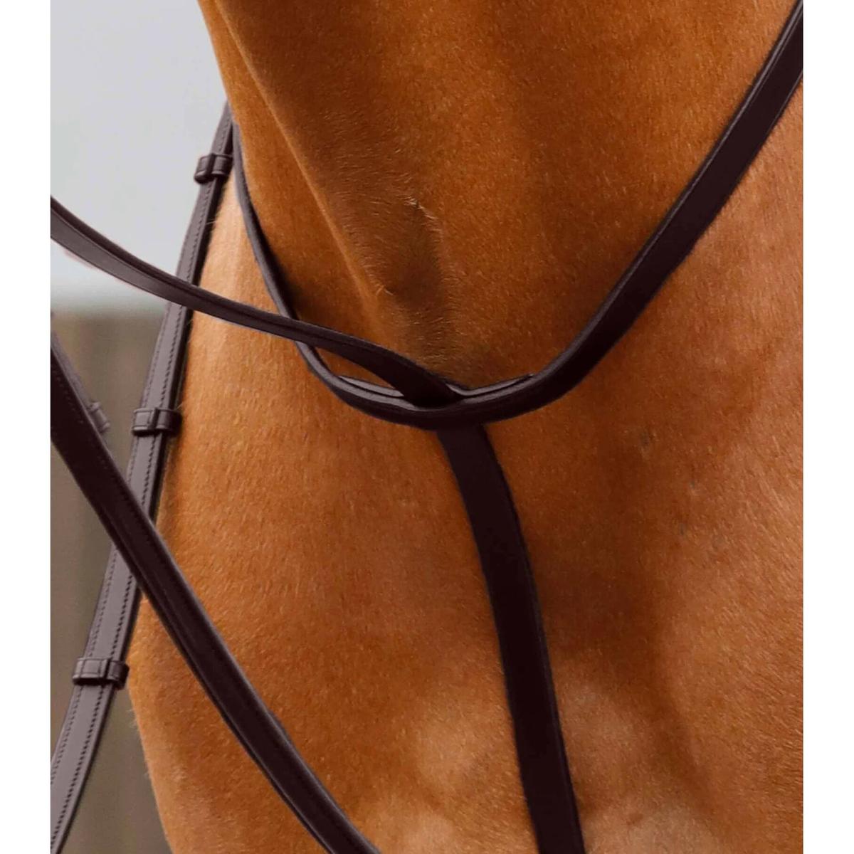 product/p/r/premier-equine_8030-cbrw_2.jpg