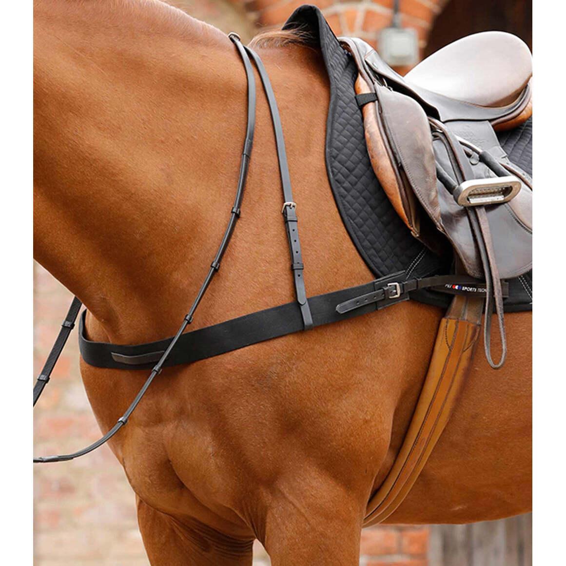 product/p/r/premier-equine_8036-blk_black_5.jpg