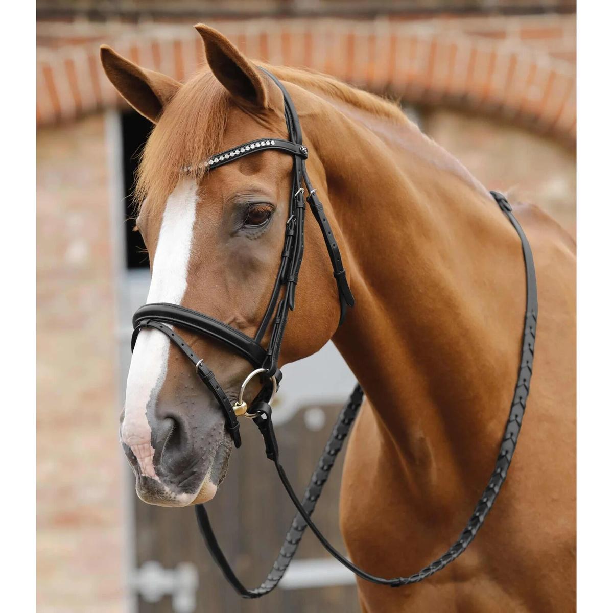 product/p/r/premier-equine_8043-blk_1.jpg