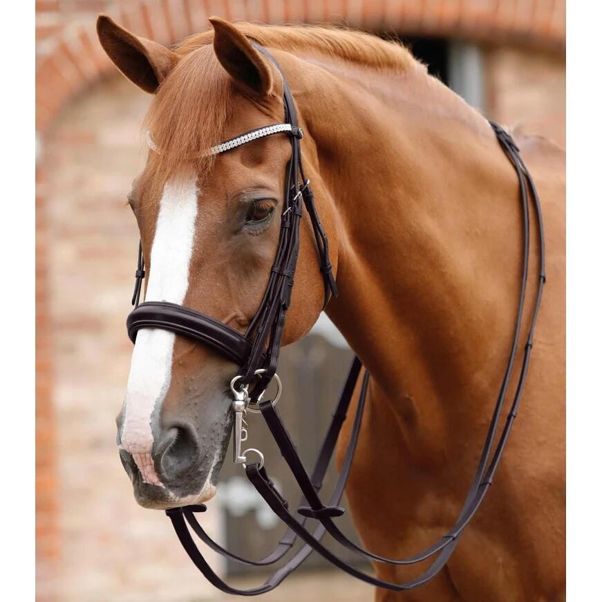 product/p/r/premier-equine_8047-brw_2.jpg