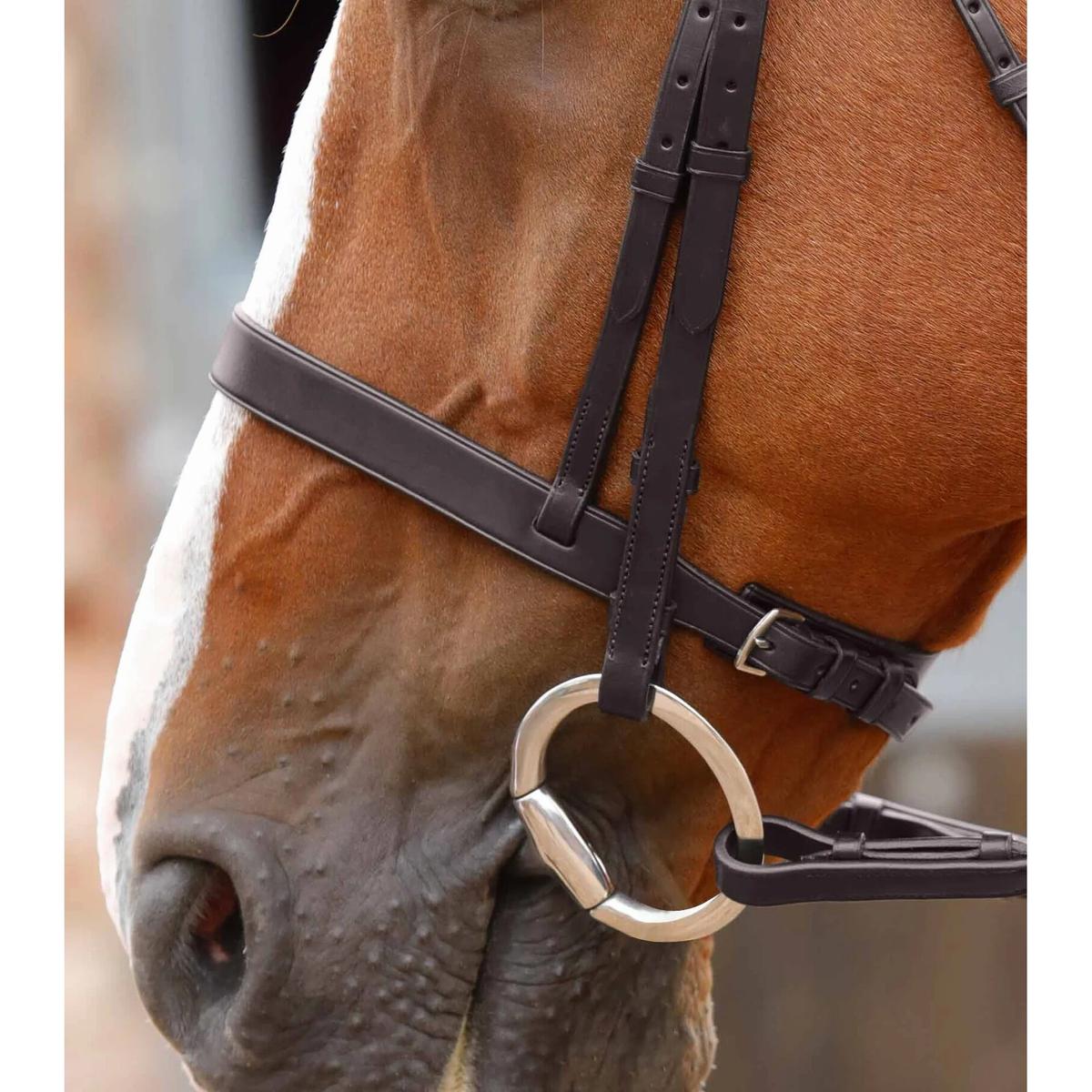product/p/r/premier-equine_8072-45_2.jpg