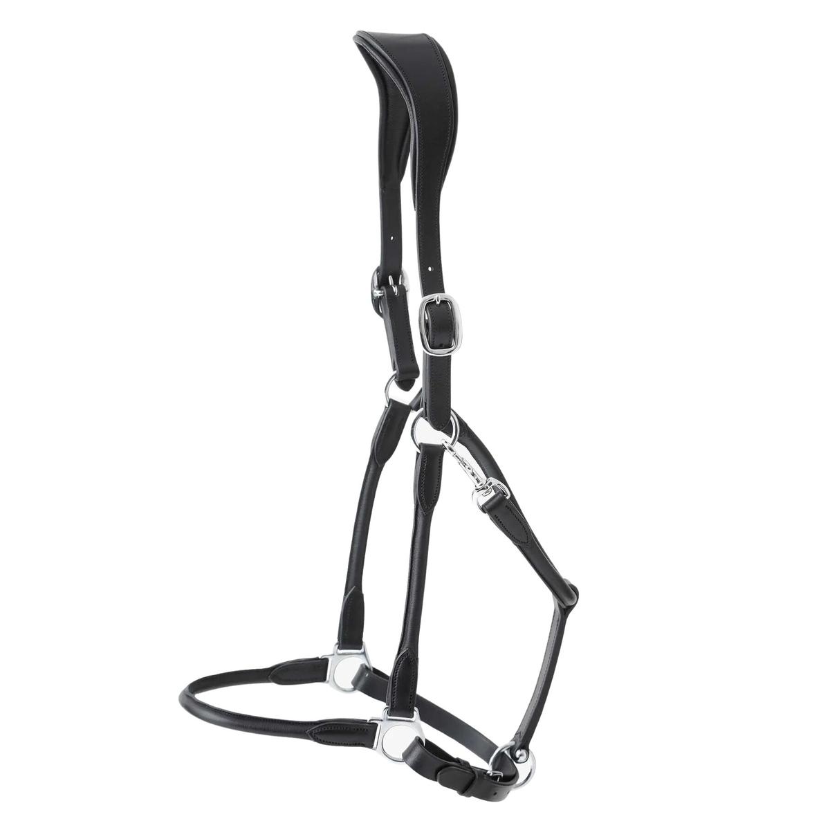 product/p/r/premier-equine_8120cblk_3.jpg