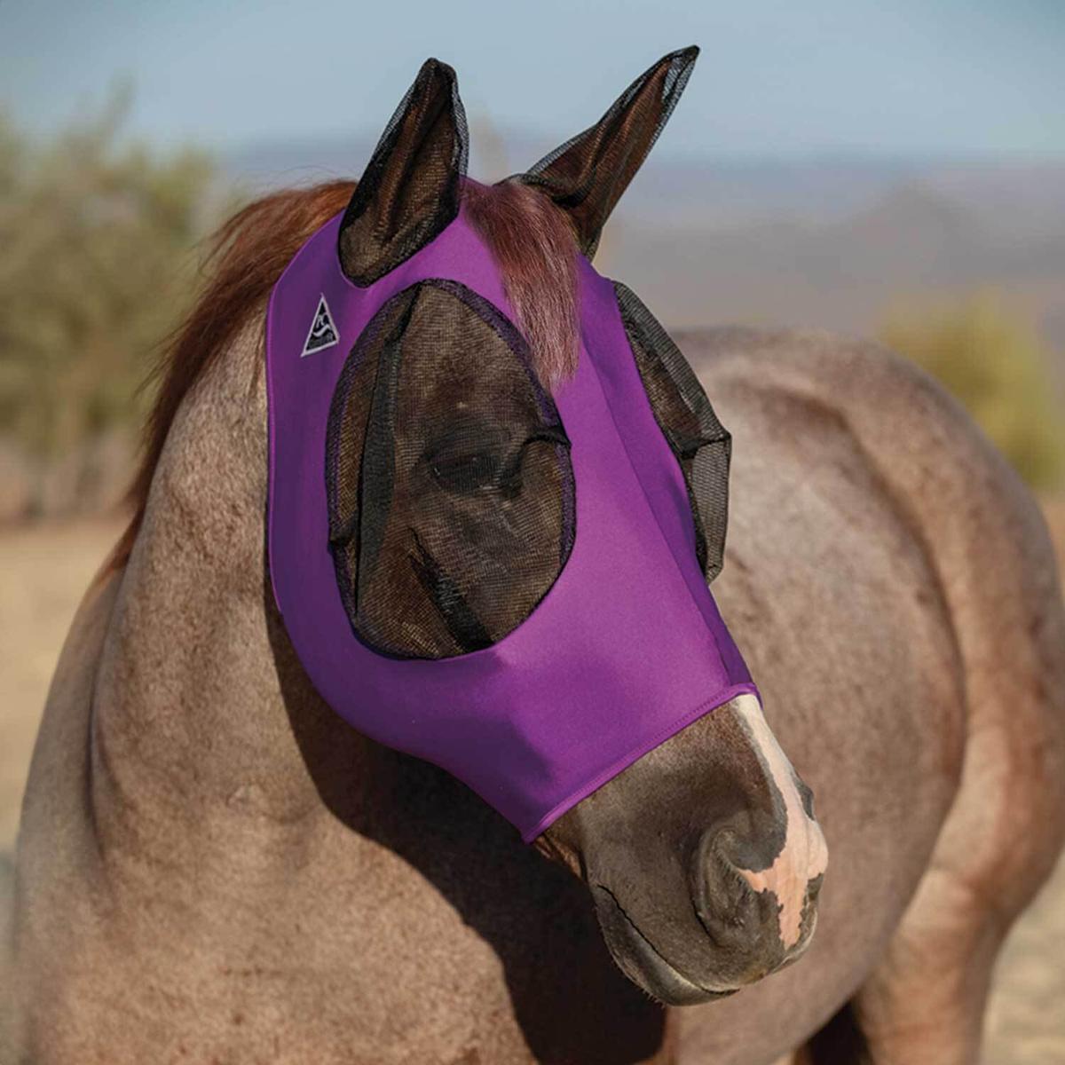 product/p/r/professional-s-choice_pch00001-purple_purple_1.jpg