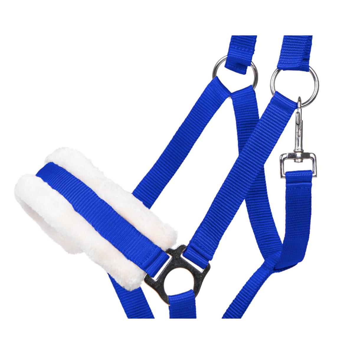 product/q/h/qhp_1126-kb_bleu-de-cobalt_2.jpg