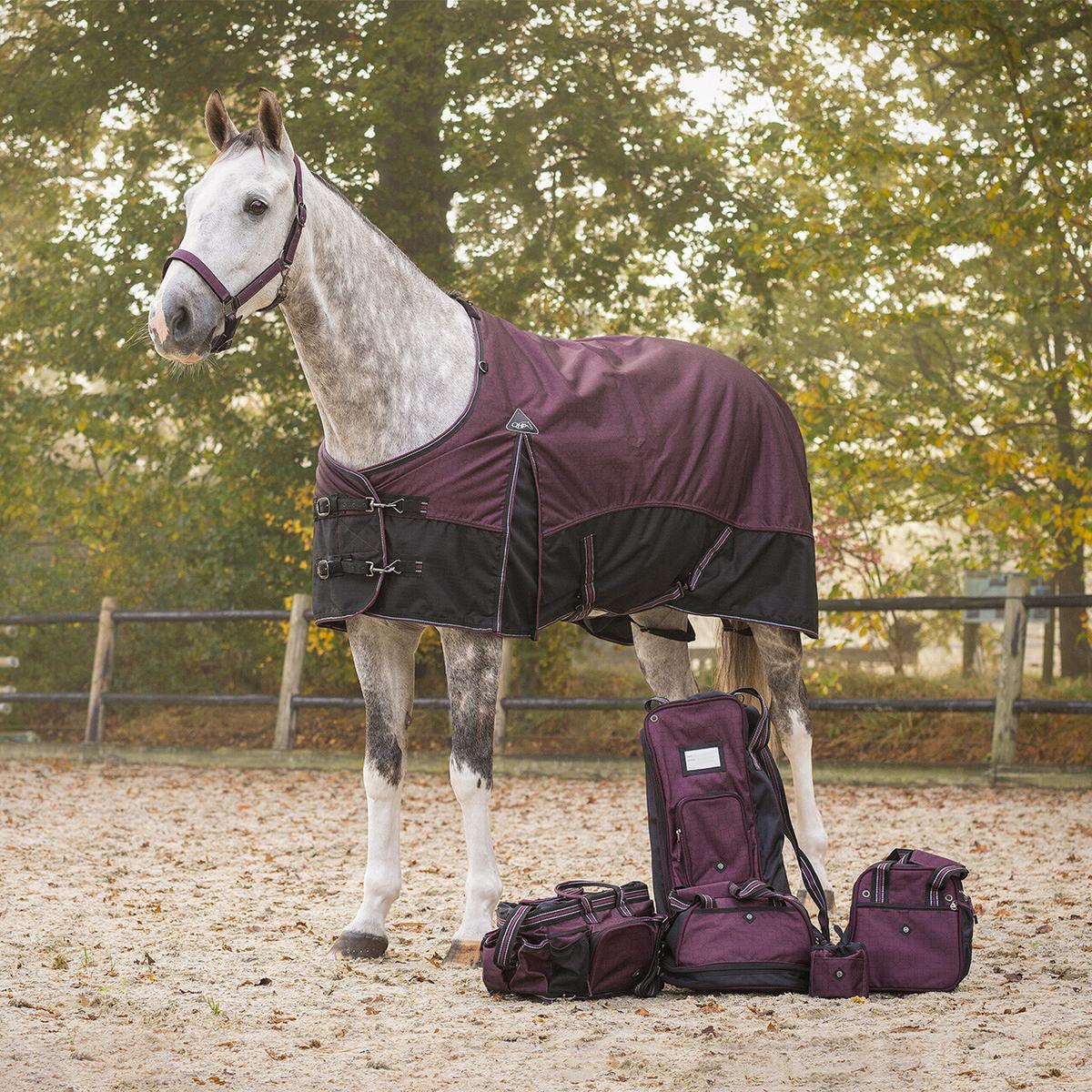 product/q/h/qhp_6380-wro_wine-red_3.jpg