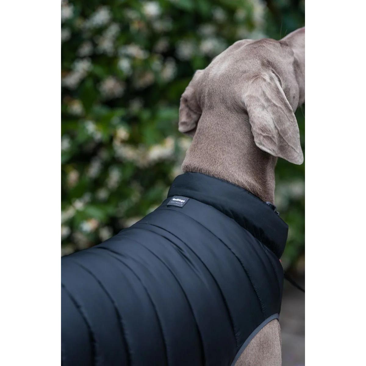 product/r/e/red-dingo_pj-pm-bb_noir-et-gris_5.jpg