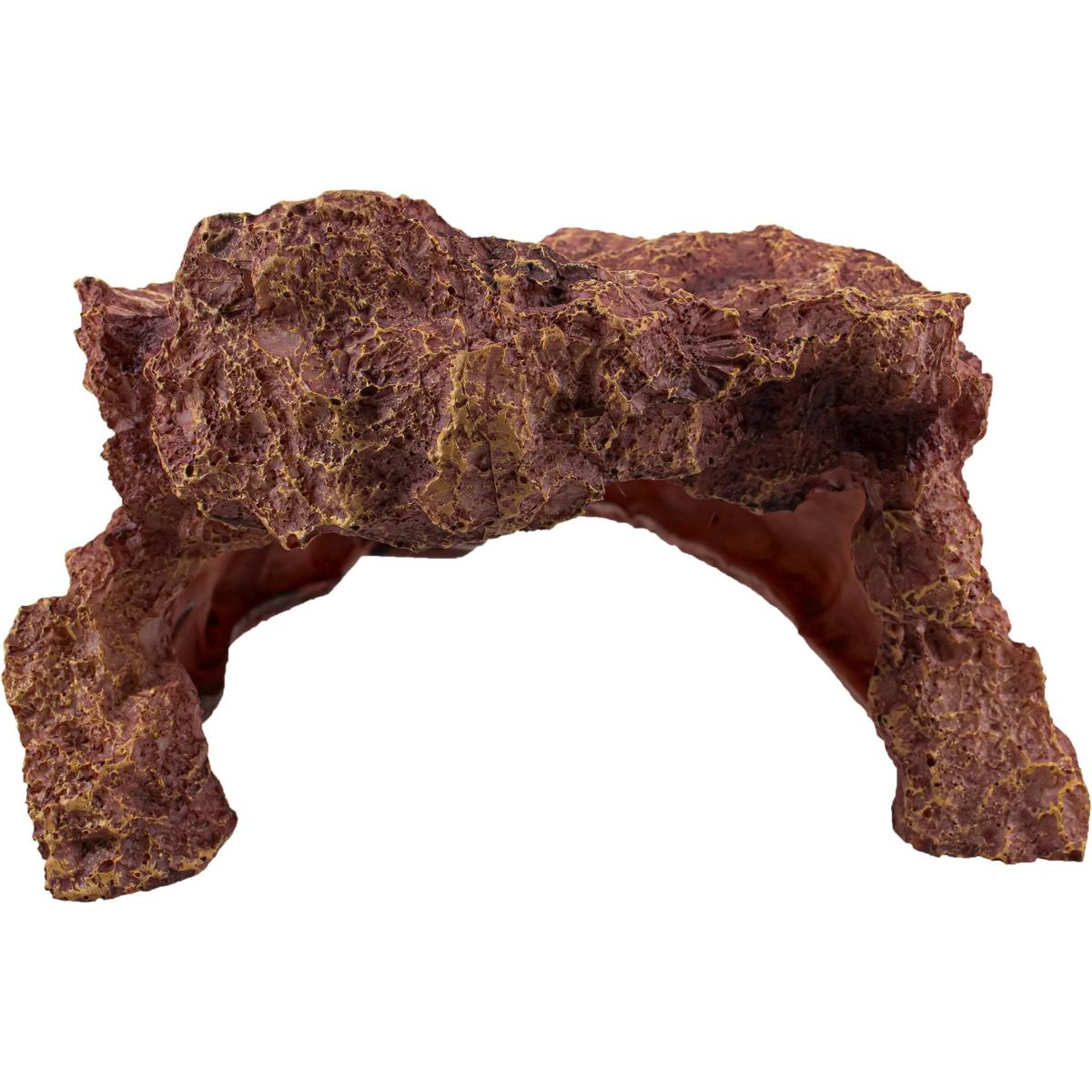 product/r/e/reptiles-planet_rp120903_marron_1.jpg