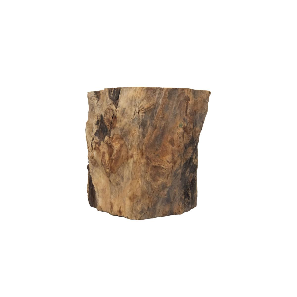 product/r/e/reptiles-planet_rp440050_beige_1.jpg