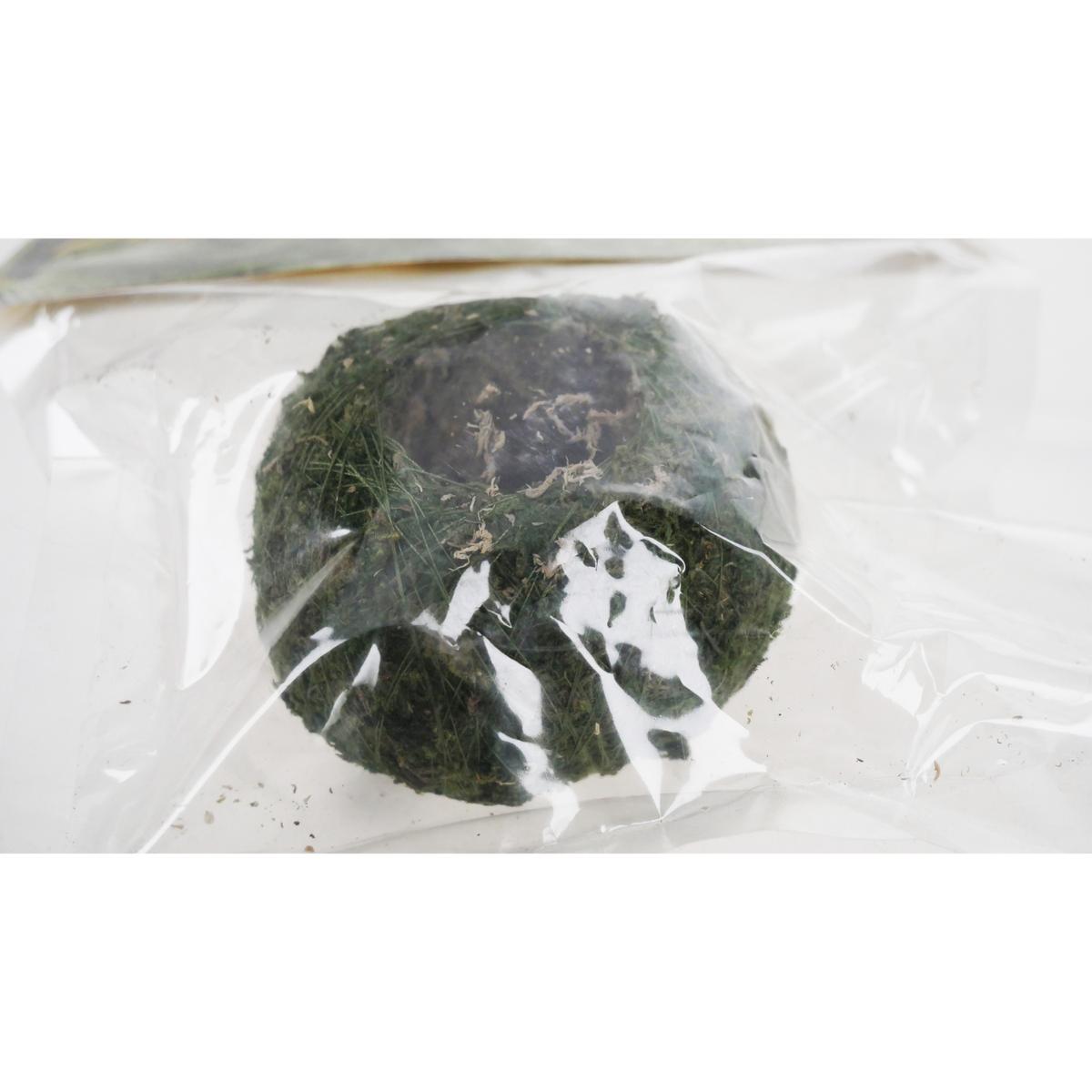 product/r/e/reptiles-planet_rp875932_vert_3.jpg