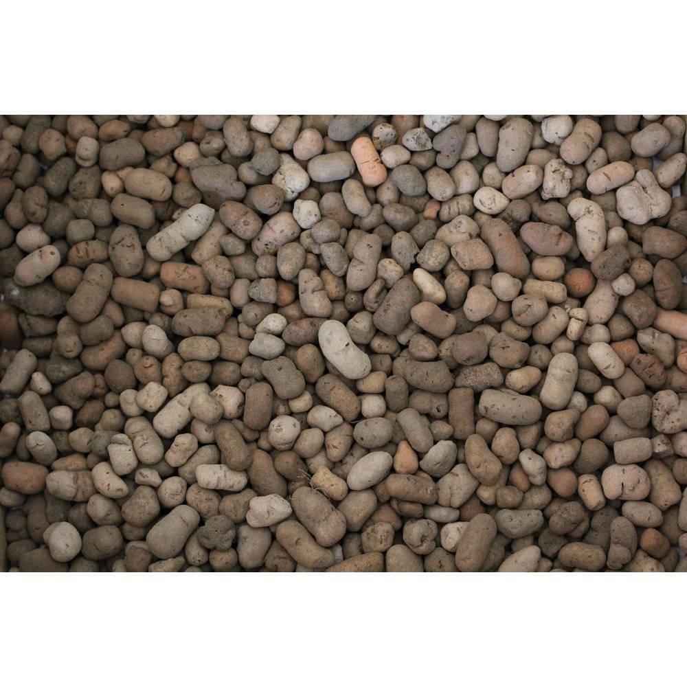 product/r/e/reptiles-planet_rp875936_marron_2.jpg