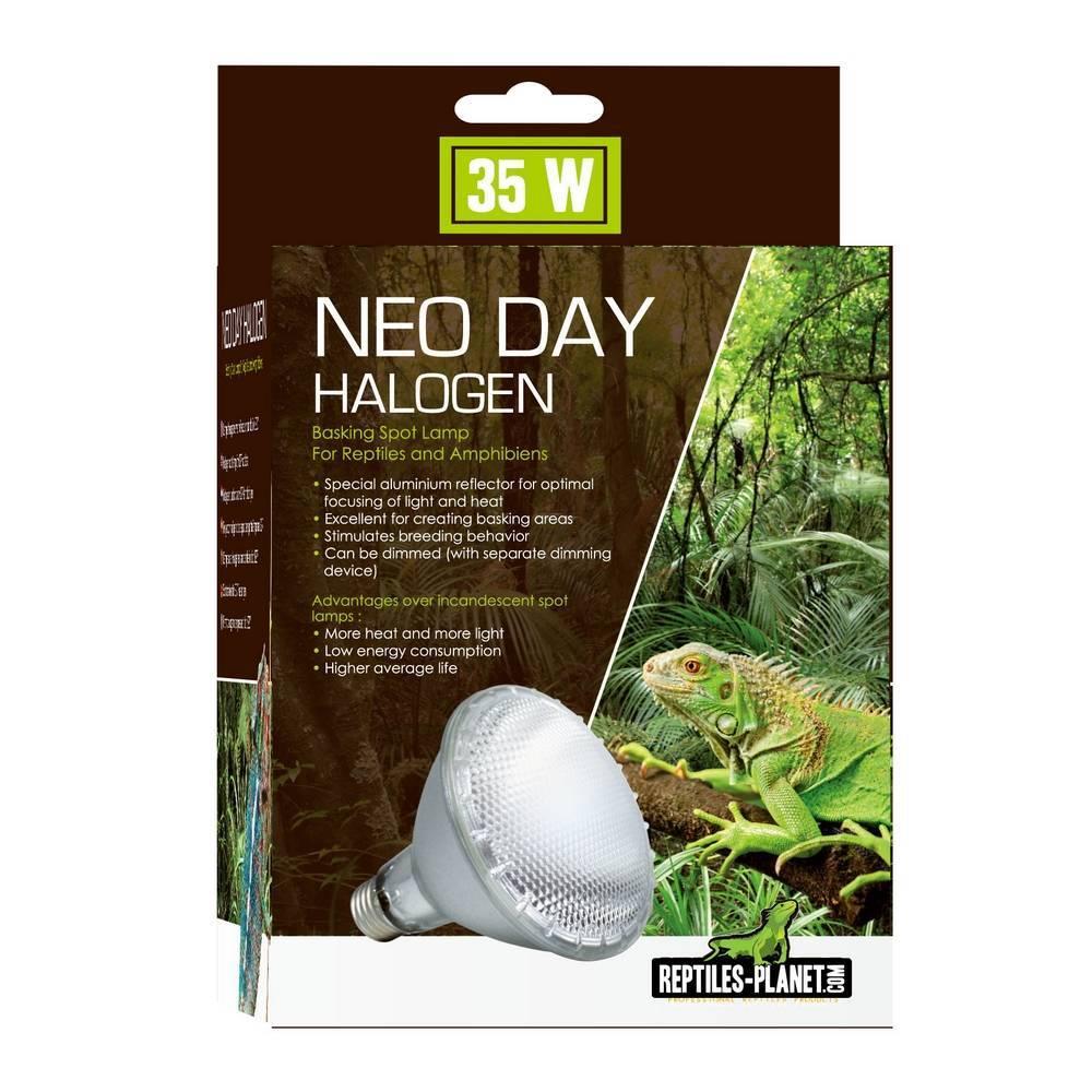 product/r/e/reptiles-planet_rp875952_blanc_1.jpg