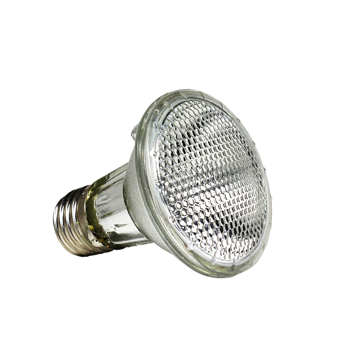 product/r/e/reptiles-planet_rp875952_blanc_5.jpg