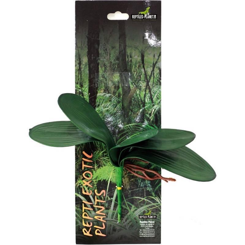 product/r/e/reptiles-planet_rp876026_vert_2.jpg
