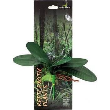 product/r/e/reptiles-planet_rp876026_vert_3.jpg