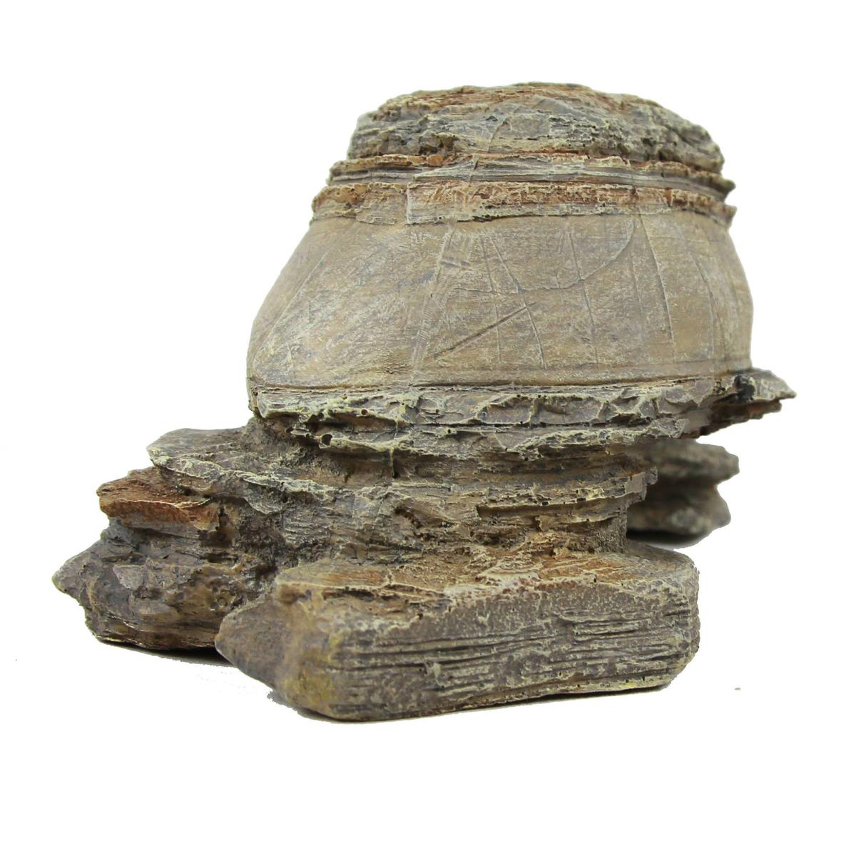 product/r/e/reptiles-planet_rp876216_vert_4.jpg